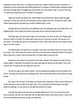 Referāts 'Tigers', 4.