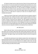 Referāts 'Tigers', 10.