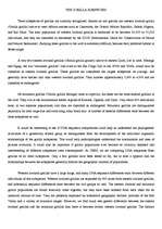 Referāts 'Tigers', 19.