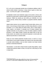 Referāts 'Eiropas Savienības nākotne - iespējas un izaicinājumi. Latvijas iespējas', 13.