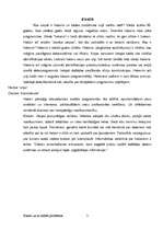 Referāts 'Hakeri un to radītās problēmas', 3.