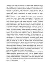 Referāts 'Hakeri un to radītās problēmas', 9.