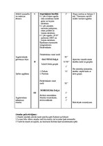 Konspekts 'Sporta stundas konspekts futbolā 4.klasei', 3.