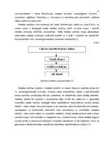 Referāts 'Valodu politika Latvijā un tās ietekme uz latviešu valodas pastāvēšanu', 12.