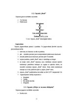 Prakses atskaite 'Ražošanas prakses atskaite SIA "Siguldas maiznieks"', 11.