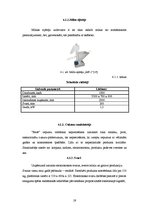 Prakses atskaite 'Ražošanas prakses atskaite SIA "Siguldas maiznieks"', 19.