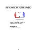 Prakses atskaite 'Ražošanas prakses atskaite SIA "Siguldas maiznieks"', 28.