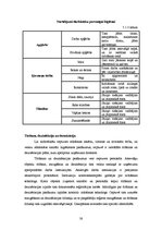 Prakses atskaite 'Ražošanas prakses atskaite SIA "Siguldas maiznieks"', 38.