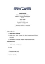 Paraugs 'Gaismas ātruma mērījumi', 1.