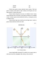 Paraugs 'Gaismas ātruma mērījumi', 4.