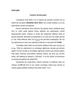 Paraugs 'Gaismas ātruma mērījumi', 6.