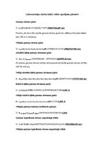 Paraugs 'Gaismas ātruma mērījumi', 12.