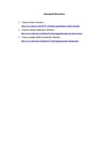 Paraugs 'Gaismas ātruma mērījumi', 18.