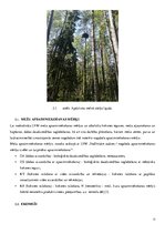Prakses atskaite 'Vides aizsardzības prakse. AS "Latvijas valsts meži"', 13.