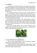 Referāts 'Telpaugu nozīme viesmīlīgas atmosfēras radīšanā', 5.