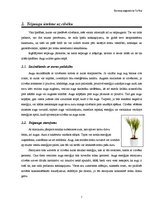 Referāts 'Telpaugu nozīme viesmīlīgas atmosfēras radīšanā', 7.