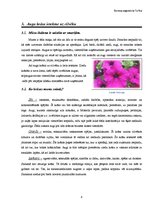 Referāts 'Telpaugu nozīme viesmīlīgas atmosfēras radīšanā', 8.