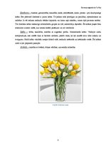 Referāts 'Telpaugu nozīme viesmīlīgas atmosfēras radīšanā', 9.