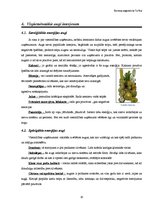 Referāts 'Telpaugu nozīme viesmīlīgas atmosfēras radīšanā', 10.