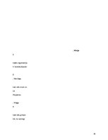 Referāts 'Uzņēmuma SIA "Eugesta un partneri" attīstības iespēju izvērtējums', 19.