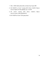 Referāts 'Uzņēmuma SIA "Eugesta un partneri" attīstības iespēju izvērtējums', 28.