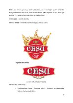 Referāts 'Zīmola izveides vadīšana uzņēmumā', 19.