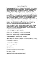 Konspekts 'Augsta riska pārtika', 1.