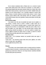 Prakses atskaite 'Integrētā mācību prakse pirmsskolā', 6.