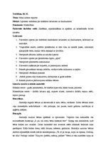 Prakses atskaite 'Integrētā mācību prakse pirmsskolā', 7.