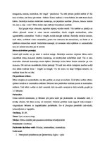 Prakses atskaite 'Integrētā mācību prakse pirmsskolā', 17.