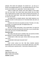 Prakses atskaite 'Integrētā mācību prakse pirmsskolā', 19.