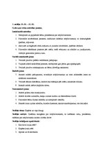 Prakses atskaite 'Integrētā mācību prakse pirmsskolā', 27.