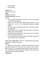 Prakses atskaite 'Integrētā mācību prakse pirmsskolā', 28.