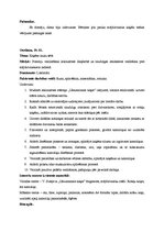 Prakses atskaite 'Integrētā mācību prakse pirmsskolā', 30.