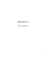 Paraugs 'Pētnieciskais laboratorijas darbs. Siltuma daudzums', 1.