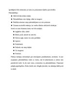 Konspekts 'Pārmeklēšanas iemaņas un prasmes', 5.