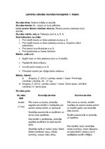 Konspekts 'Latviešu valodas stundas konspekts 1.klasei', 1.