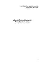 Referāts 'Jūrmalas raksturojums', 1.