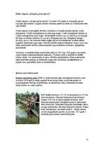 Referāts 'Jūrmalas raksturojums', 37.