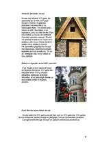 Referāts 'Jūrmalas raksturojums', 39.