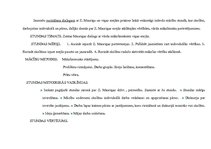 Referāts 'Zentas Mauriņas esejas', 12.