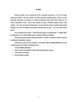 Referāts 'Tērps kā skolēna gaumi veidojošs faktors', 2.