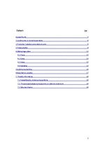 Biznesa plāns 'Biznesa plāns - mājaslapu izveide', 2.