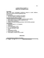 Paraugs 'Reljefa formu morfoloģiskā analīze', 1.