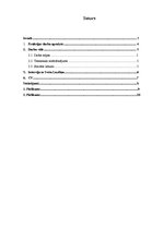 Referāts 'Biznesa attīstības vadītāja "ēna"', 2.