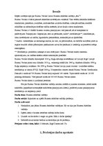 Referāts 'Biznesa attīstības vadītāja "ēna"', 3.