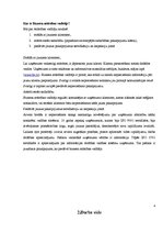 Referāts 'Biznesa attīstības vadītāja "ēna"', 4.