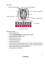 Referāts 'Biznesa attīstības vadītāja "ēna"', 9.