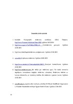 Referāts 'Kapitālsabiedrību prettiesisku pārņemšanu ietekmējošie faktori Latvijā', 33.