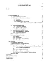 Referāts 'Cena, cenu veidošanās "X" uzņēmumā', 3.